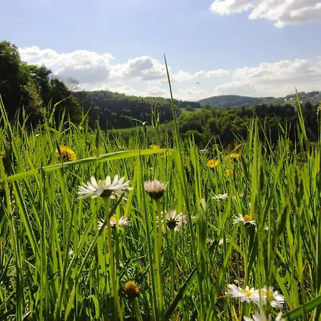 アパート Alte Poststrasse *